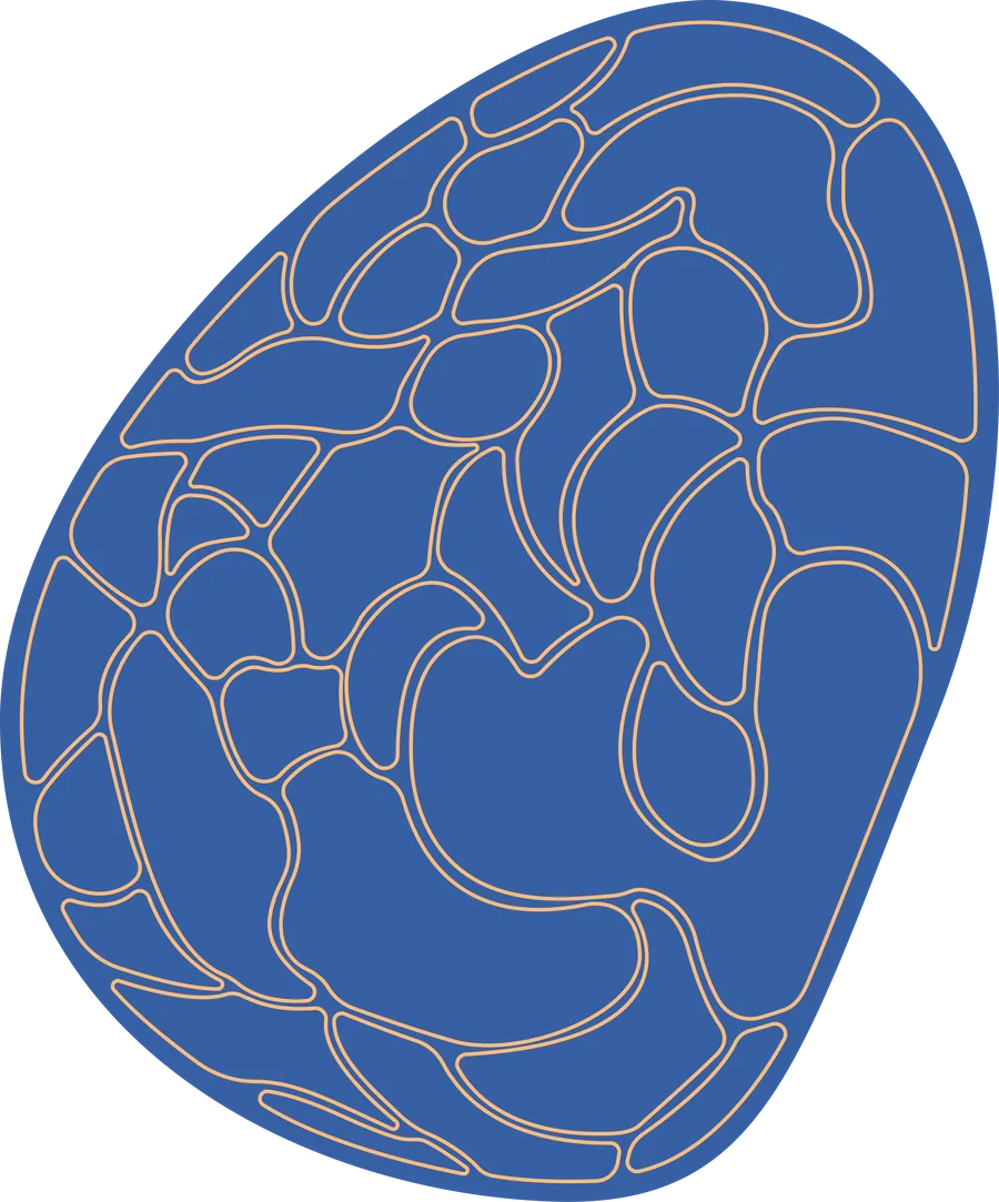 Abstract illustration of the prefrontal cortex in the BNS Neuro brand style